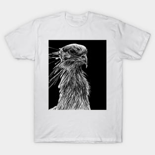 Secretary bird ink illustration T-Shirt